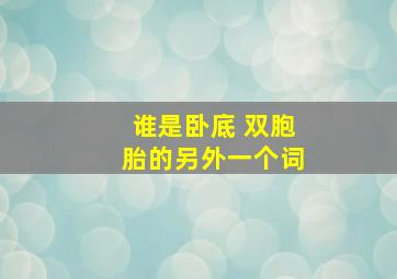 谁是卧底 双胞胎的另外一个词